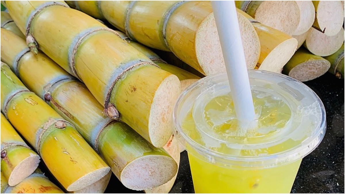 Sugarcane 2L